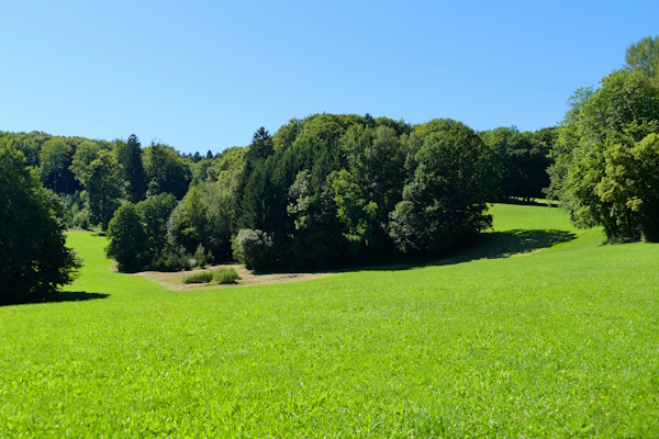 Landschaft am Wanderweg im Landkreis Deggendorf