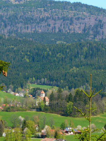 Wander-Blick auf Oberried