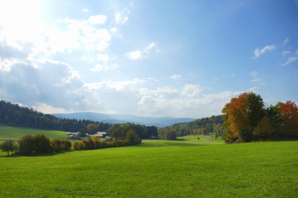 Wandern: Blick von Neunussberg ins Viechtacher Land 