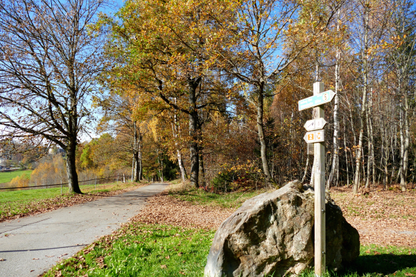 Panoramaweg Zwiesel, Bayerischer Wald