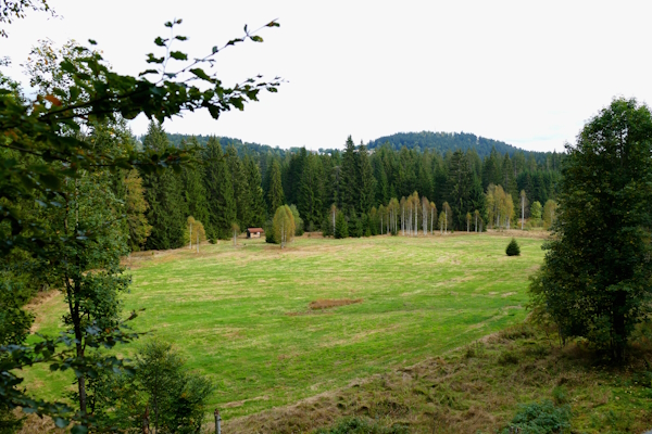 Feuchtwiese am Reschwasser, Hauptwnaderweg Nationalpark Bayerischer Wald