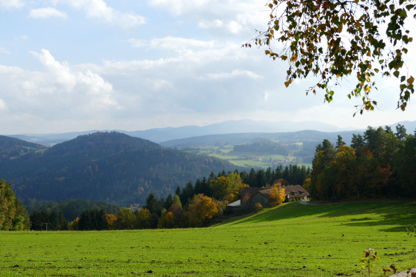 Blick ins Tal vom Schwarzen Regen, von Wanderung Neunußberg bei Viechtach