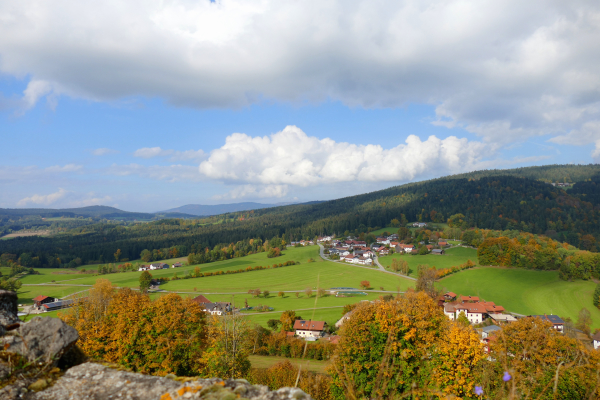 Blick vom Burgruine über Neunußberg