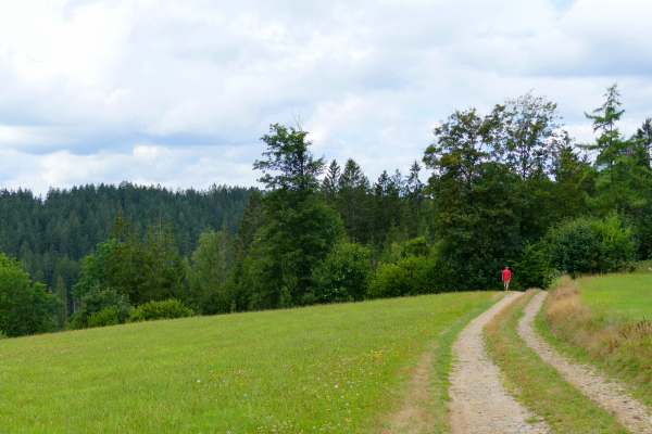 Wanderung von Innenried zum Hennenkobel im Bayerischen Wald