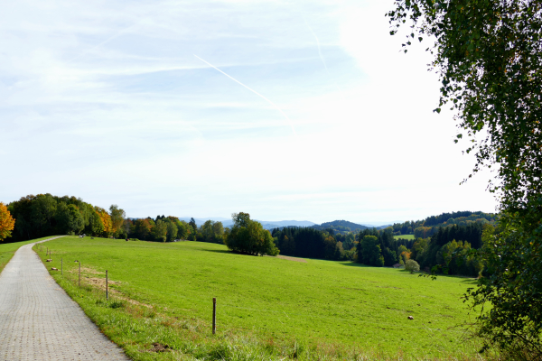 Wanderweg bei Untermitterdorf
