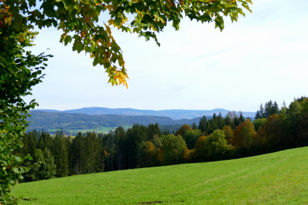 Ausblick auf den Lusen im Bayerischen Wald