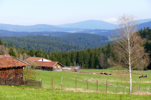 Wandern in Teisnach mit Blick zum Kaitersberg
