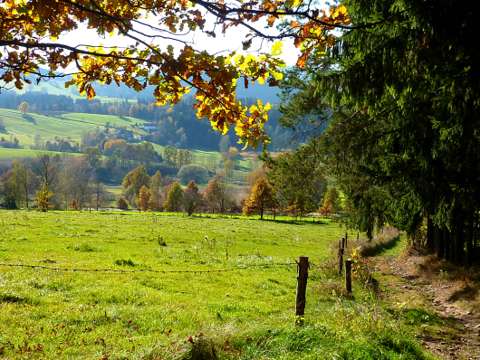 Wandern im Herbst in Teisnach