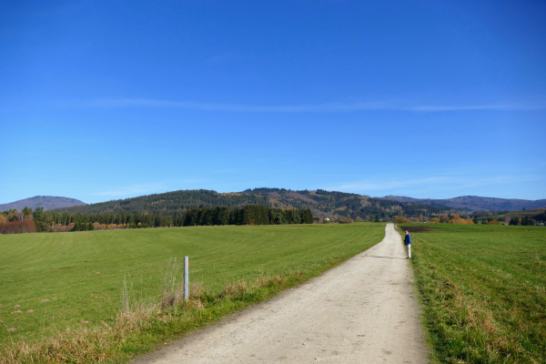 Panorama - Aussicht auf Falkenstein und Arber beim Wandern