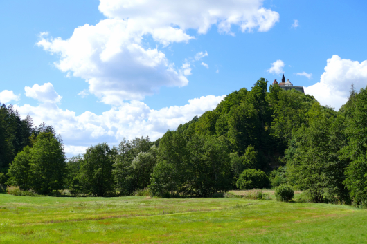 Blick zur Burg Ranfels