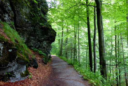 Wanderweg zu den Rieslochwasserfällen im Bayerischen Wald