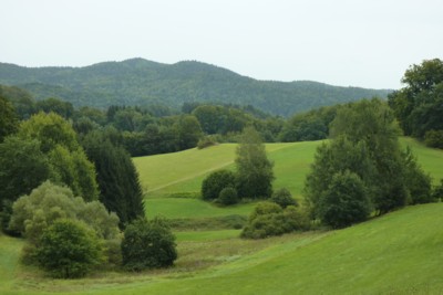 Die Wanderwegmarkierung Ahornblatt führt von Ranfels in den Nationalpark.