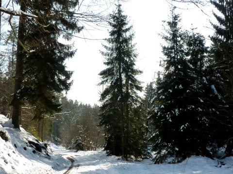 Idyllische Winterwanderung im Dreiburgenland.
