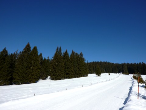 Der Winterwanderweg führt am Buchhüttenschachten vorbei zum Kleinen Arber bei Bodenmais im Bayerischen Wald..