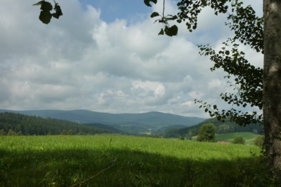 Aussichtsreiche Wanderung im Bayerischen Wald.