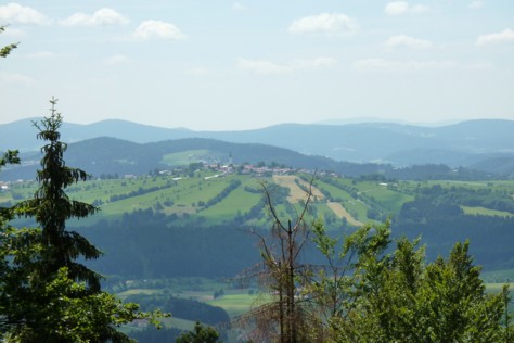 Ausblick auf Kreuzberg beim Wandern im Bayerischen Wald.