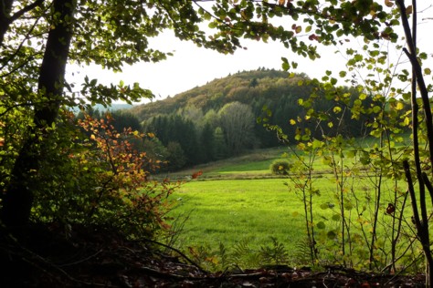 Ausblicke beim Wandern in der Region Sonnenwald bei Zenting.