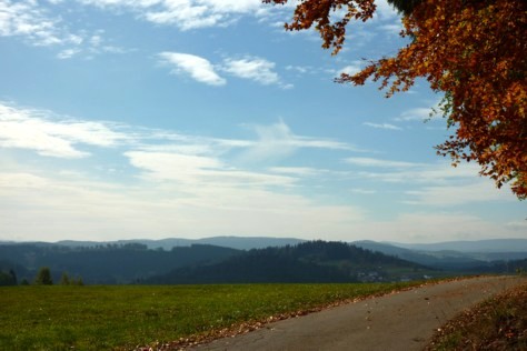 Über Außenried Blick auf die Berge des Vorderen Bayerischen Waldes.