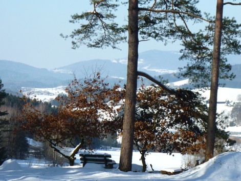Ausblick beim Winterwandern auf den Brotjacklriegel.