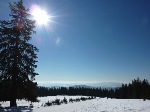 Blick im Winter über den Buchhüttenschachten zum Vorderen Bayerischen Wald.