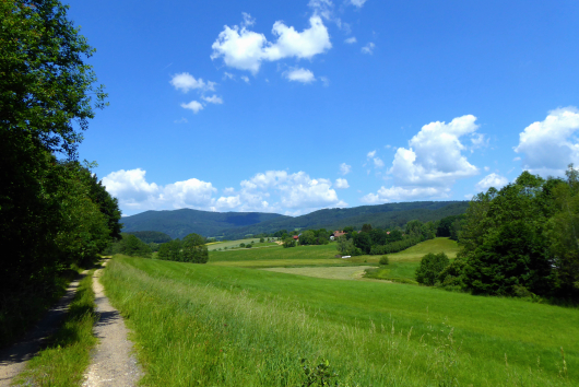 Schönster Wanderweg Ginghartinger Bach, Bayerischer Wald