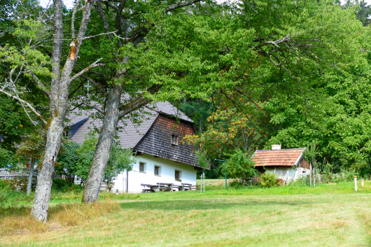 Waldvereinshütte Nest in Greising
