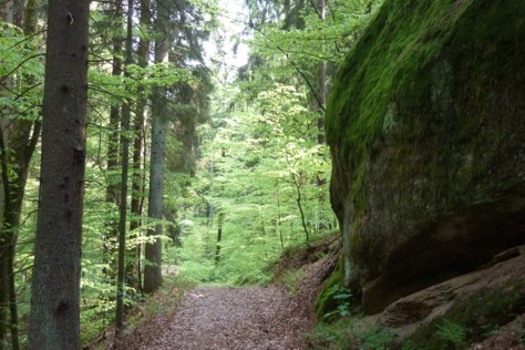 Wandern im Bayerischen Wald.