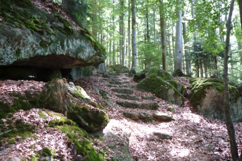 Schöne, naturnahe Wanderwege im Felswandergebiet.