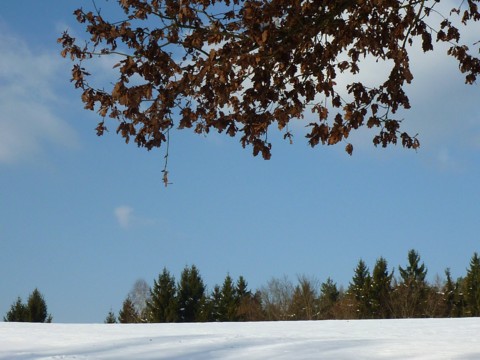 Blick auf den Brotjacklriegel beim Winterwandern.