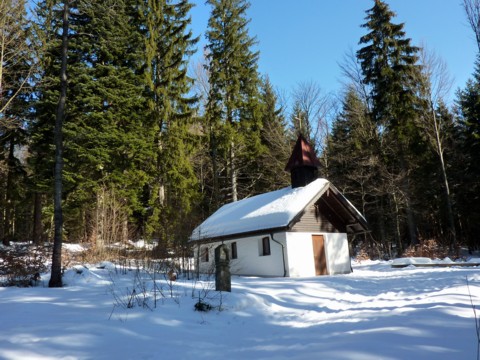 Schneeschuhwanderung auf den Kleinen Arber im Bayerischen Wald.