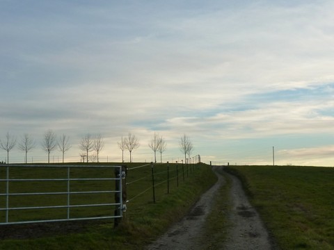 Wanderung über Wiesenwege in der Gemeinde Zenting.