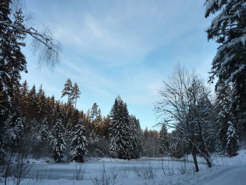 Winterlandschaft im Bayerischen Wald mit Winterwanderweg im Dreiburgenland.