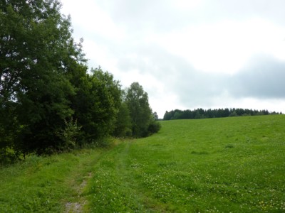 Wanderung bei Zell bei Kirchberg im Wald.