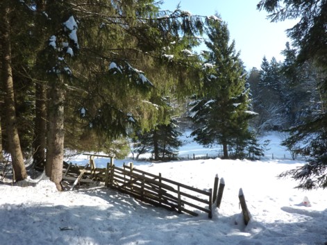 In der Nähe des Pfennighügels in einem lauschigen Tal mit Winterwanderweg im Dreiburgenland.